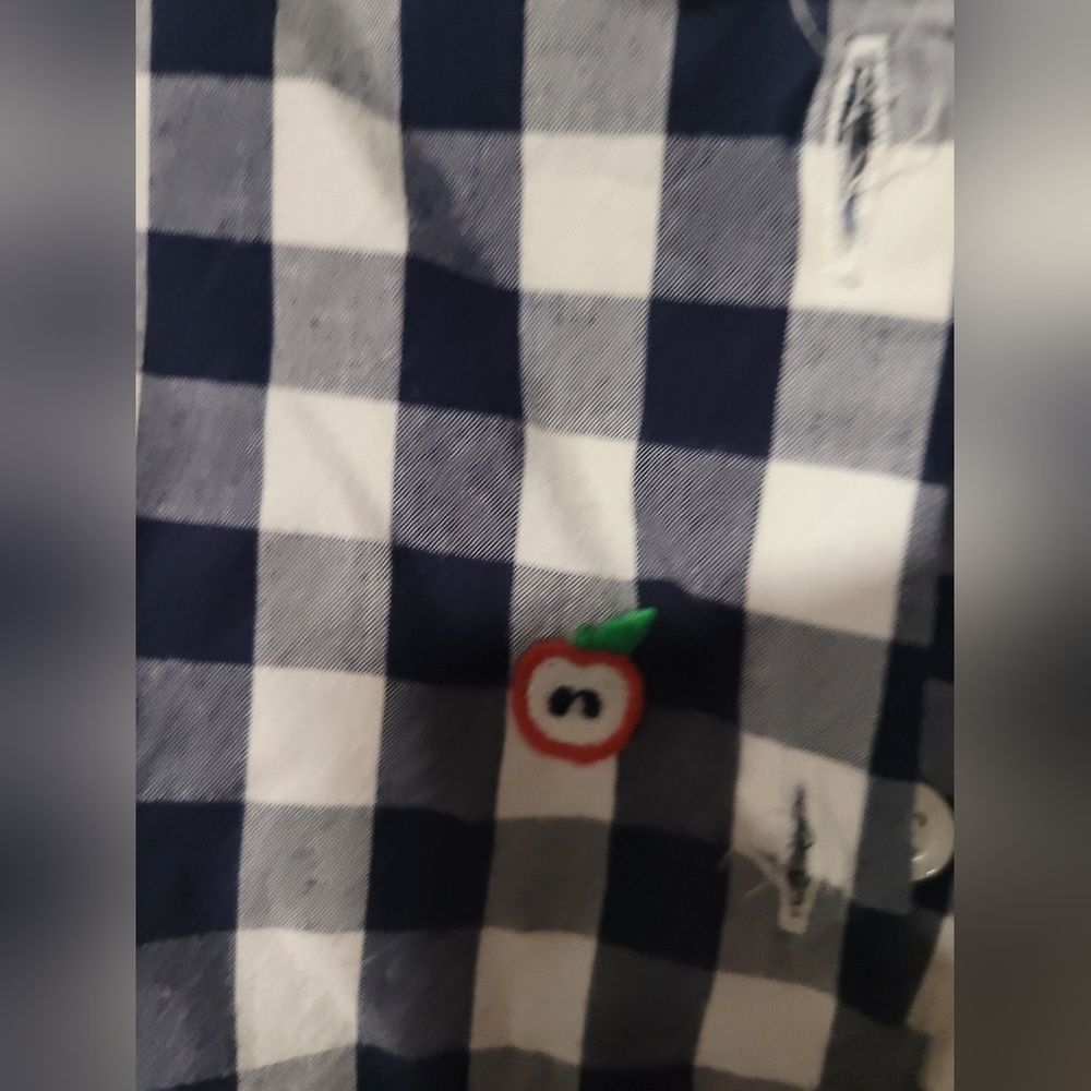 Gymboree Blue and White Gingham Blouse with Playful Hearts - Picture 4 of 4